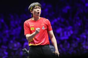 王楚钦vs樊振东比赛时间确定：11月15日中午12:30