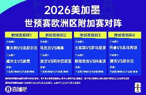 镜报：爱尔兰仅获不到1000张世预赛附加赛门票，赛前机票售罄