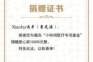 虎之爱心！Xiaohu：向上海猫岛捐赠一万元 用于救助当地流浪猫