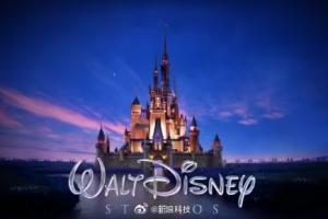 财大气粗这一块！网飞收购华纳兄弟前曾考虑买迪士尼