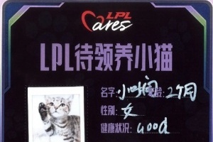 草台班子？LPL全明星公益领养活动暴雷网友称领养猫携带猫瘟感染原住民