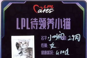 补救未晚‍↕️腾竞回应全明星公益中粉丝领养“病猫”：已关注并全面救治小猫