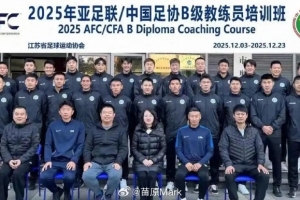 苗原：杨博宇参加教练员培训班，他被怀疑会上第二批禁足名单