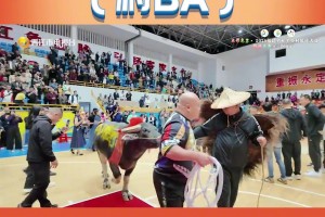 杨翰森的NBA困局，20年前姚明早给过解法！