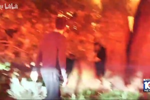 啊？波蒂斯：字母哥见义勇为是假的，要是真的早就有视频了！