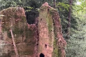 哥们为了修炼成国产字母哥，也太拼了吧