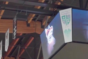 未来之妞？这是我见过技巧最好的女生了！