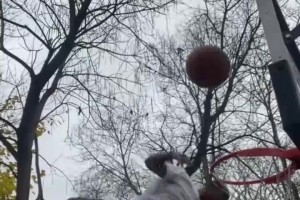 别说球风还挺好看！年轻时期的泰伦卢是怎么打球的？