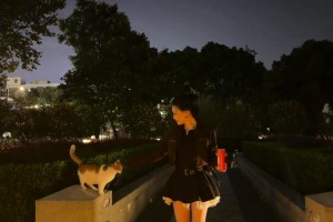 贝克汉姆带着迈阿密球员们一边开火车，一边等着梅西的到来~